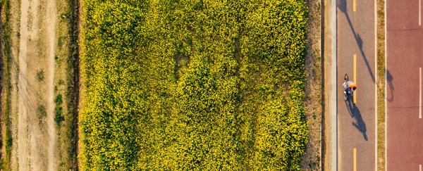 Science has devastating news about pollen season as the US climate keeps changing