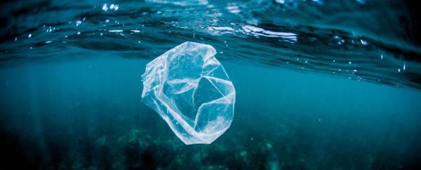 World first as UN begins creation of 'historic' global treaty on plastic waste