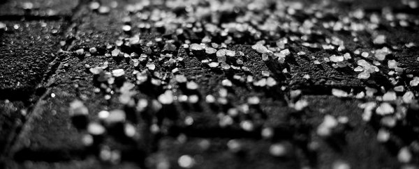 Road salt's harm to freshwater ecosystems could ripple out to all of us