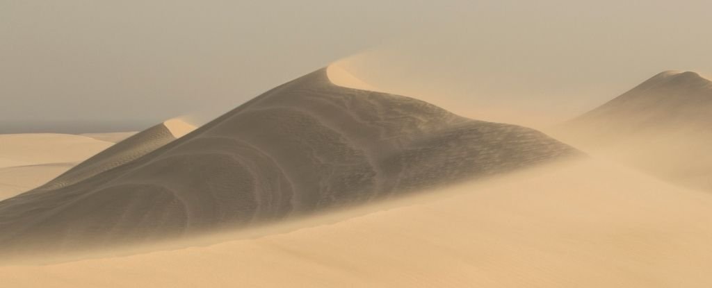 Qatar dunes. 