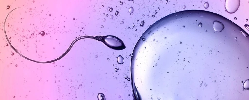 Des scientifiques découvrent des spermatozoïdes qui défient une loi clé de la physique : ScienceAlert