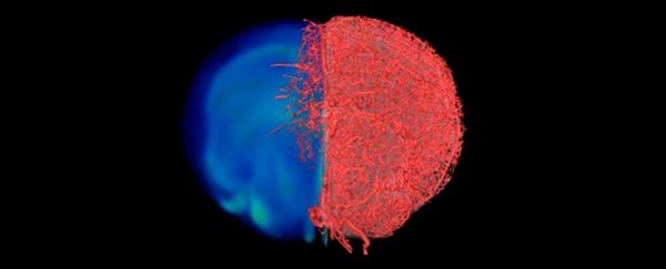 This cool new imaging technique shows blood vessels like never before