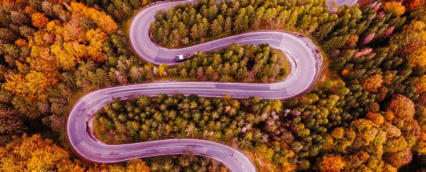 Do you get motion sickness? This might explain why, and what to do about it