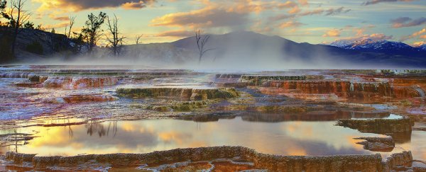 Hidden channels beneath Yellowstone have been revealed for the first time