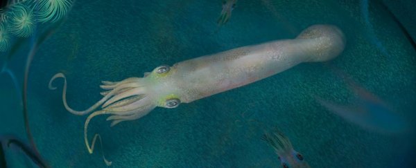 Ancient 'vampire' cephalopod from 330 million years ago is a first of its kind