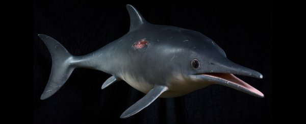 Behold The Most Up-To-Date Scientific Reconstruction of a Prehistoric Ichthyosaur