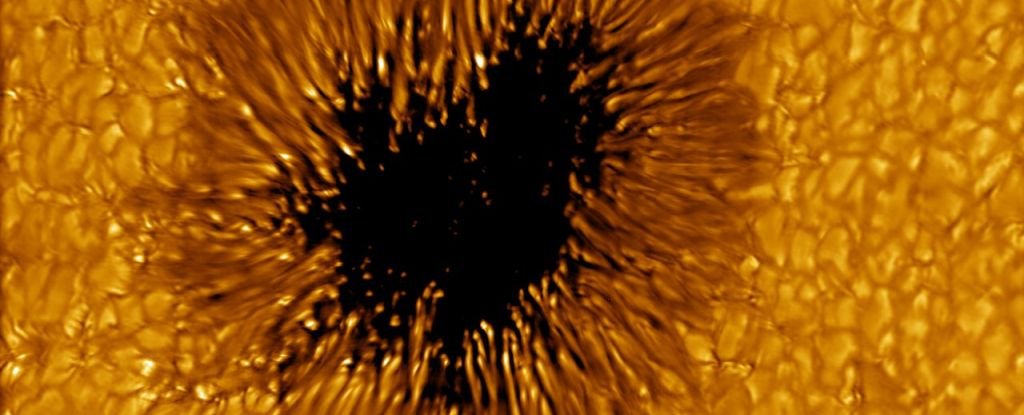 This Mind-Bogglingly Gigantic Sunspot Is Roughly The Size of Our Entire Planet