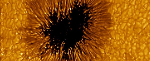 This mind-bogglingly gigantic sunspot is roughly the size of our entire planet