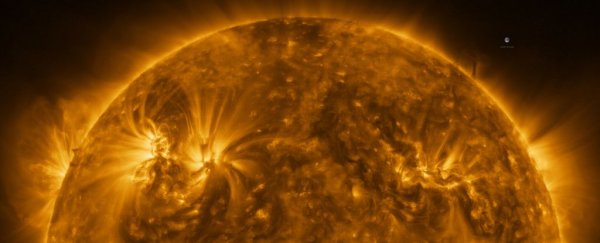 Feast your eyes on 'unprecedented' new pics revealed of our Sun