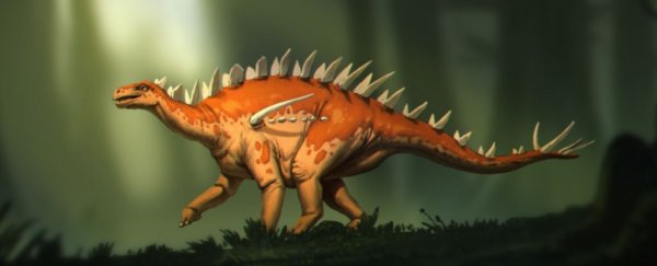 Tiny new species of stegosaur unearthed in China