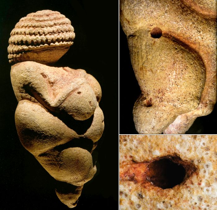 venus of willendorf cavities