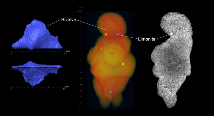 venus of willendorf inclusions