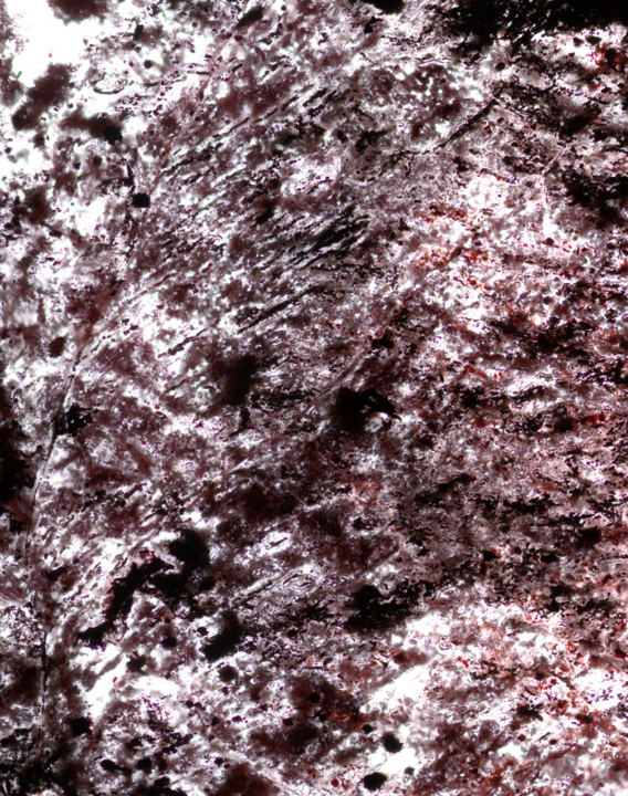 Pink rock with dark black streaks and white strings running through