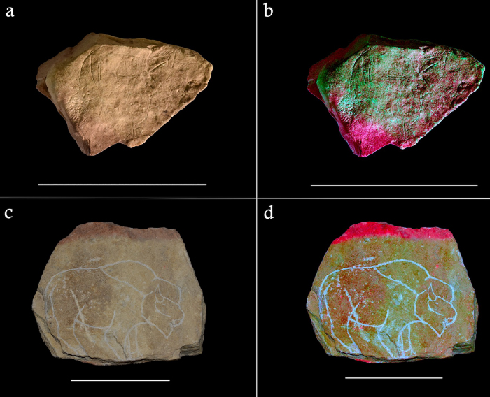 Four depictions of stones etched with a horse and a bison
