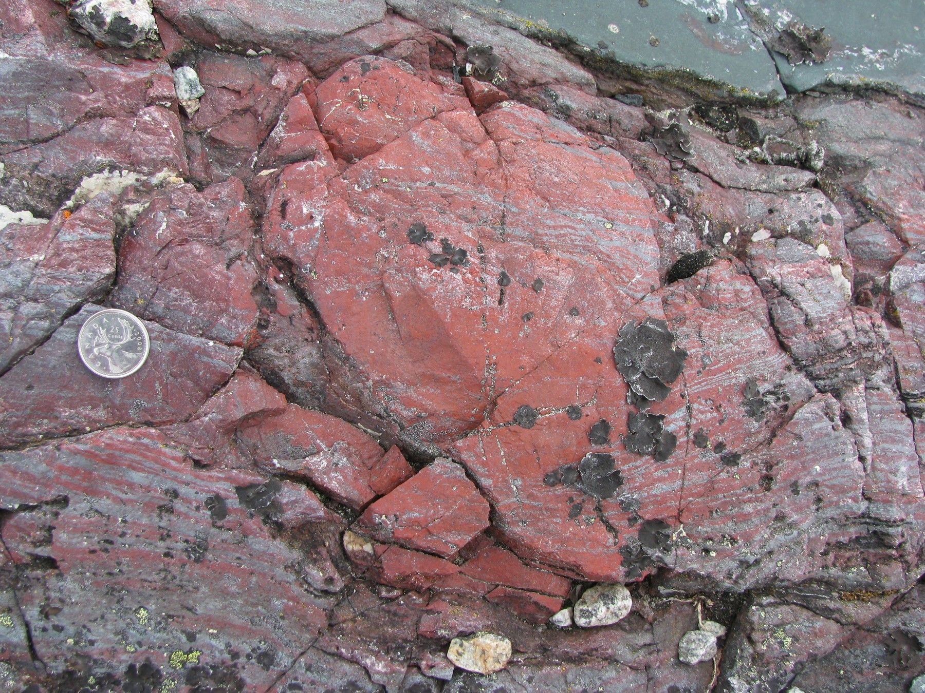 Pinkish red rock with a Canadian quarter placed next to it