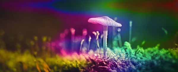 We may finally know how magic mushrooms work to relieve depression