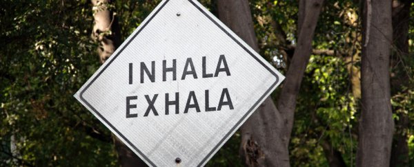 The Spanish language may hold the key to a perplexing health mystery