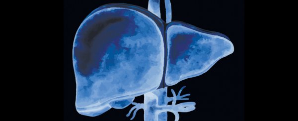 A dangerous liver disease is spreading in US kids, seemingly related to a virus