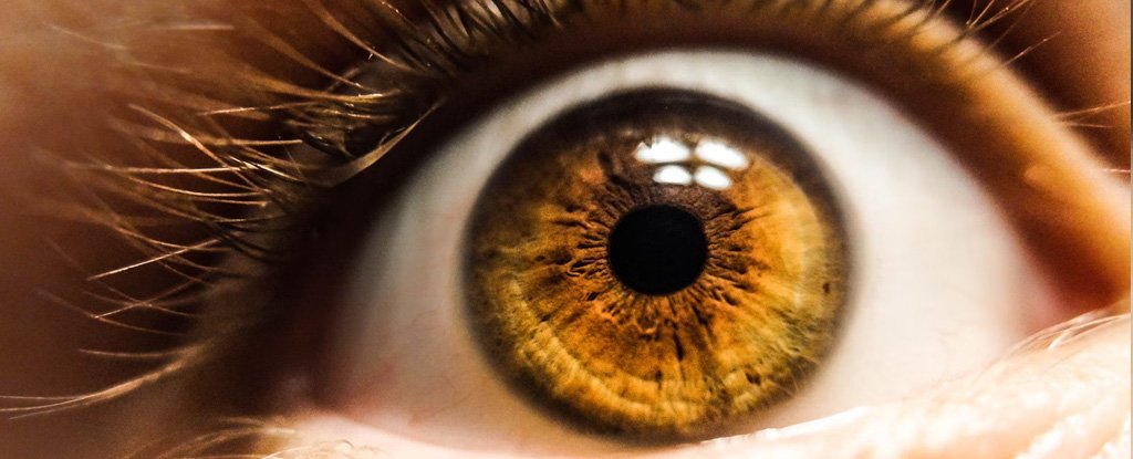 The eyes can reveal if someone has aphantasia – an absence of visuals in their mind