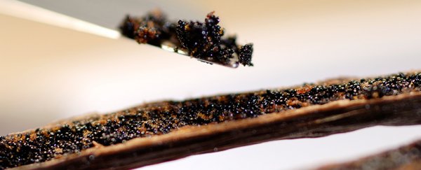 This could be the world's favorite scent, no matter where you are from