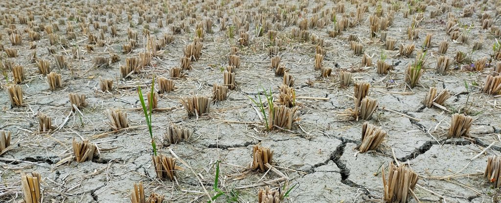 'Flash Droughts' Are Striking Faster as The World Warms, Scientists Warn