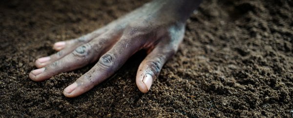 The true reason for so much hunger in the world is probably not what you think