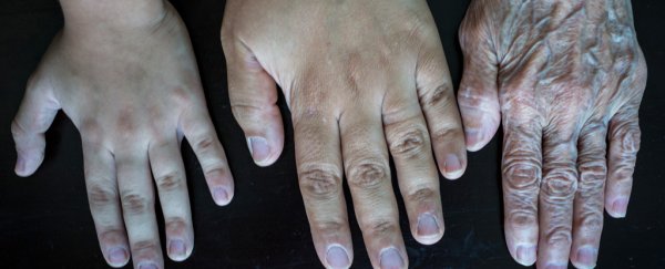 Scientists rewind the clock of human skin cells to make them act 30 years younger