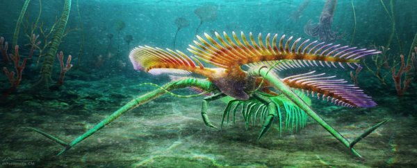 This weird-looking aquatic arthropod didn't have eyes and used 'stilts' to get around