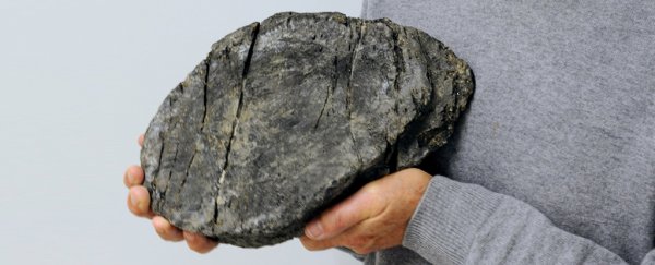 The Largest Known Carnivorous Sea Monsters Have Likely Been Found in the Swiss Alps