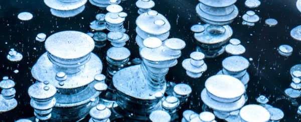 These microbes breathe methane and turn it into electricity in a weird living battery