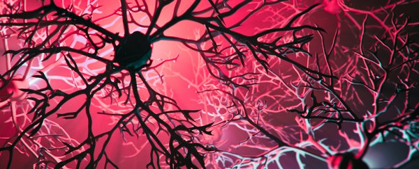 black neurons on red pink background