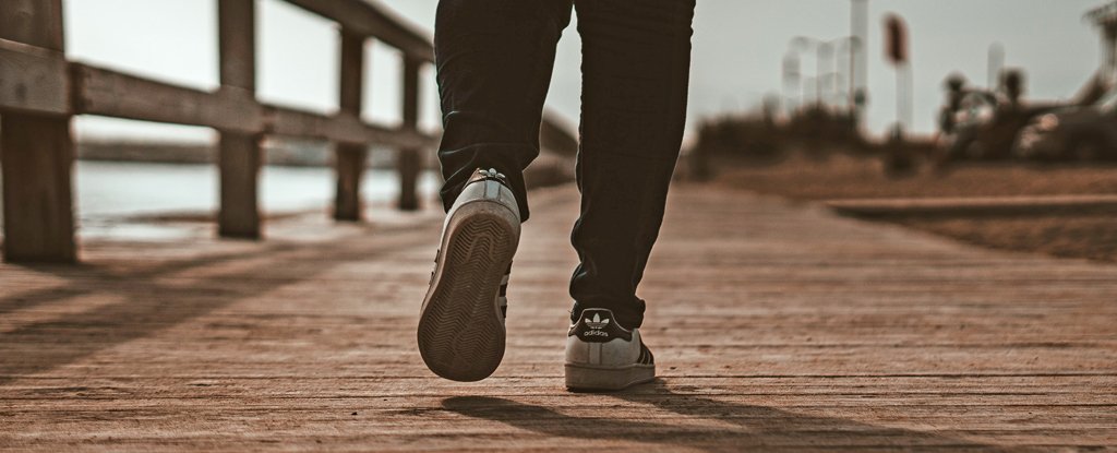 Brisk Walking Is Able to Slow Down The Biological Aging Process - ScienceAlert