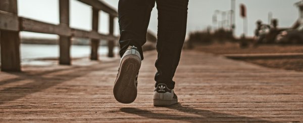 Brisk walking is able to slow down the biological aging process