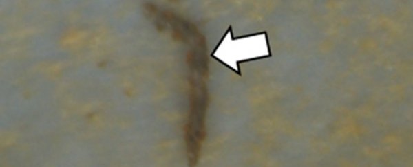 Microplastics Have Now Been Found in The Deepest Part of The Human Lungs
