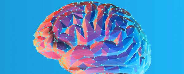 Researchers discover the format our brains use to store working visual memory