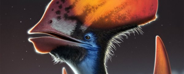 Groundbreaking study confirms pterosaurs really did have feathers – and that's not all