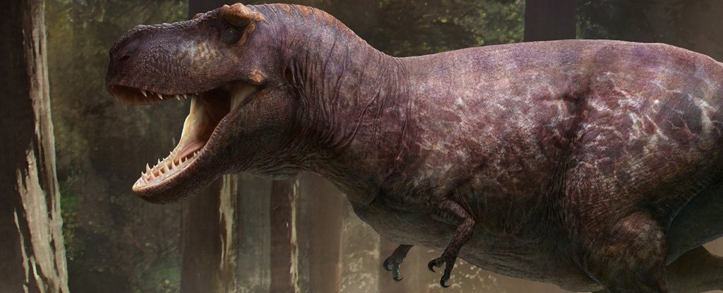 The most up-to-date reconstruction of a T. rex. 