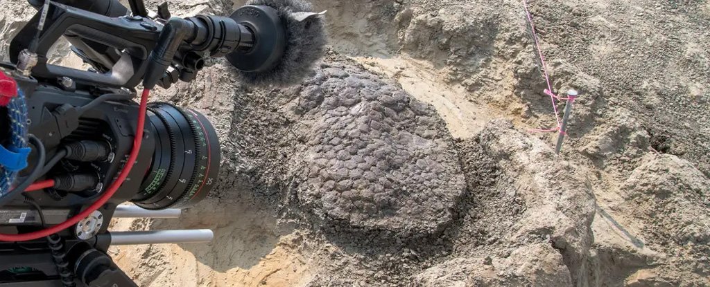 A Dinosaur Killed on The Day of The Fatal Asteroid May Have Been Discovered