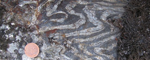 Complex life may have started on Earth much earlier than we thought