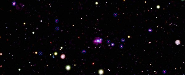 A stupid amount of feasting black holes was detected in this cosmic Spiderweb