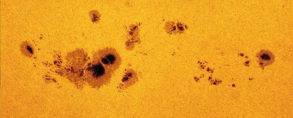 Sunspot Activity on The Sun Is Seriously Exceeding Official Predictions