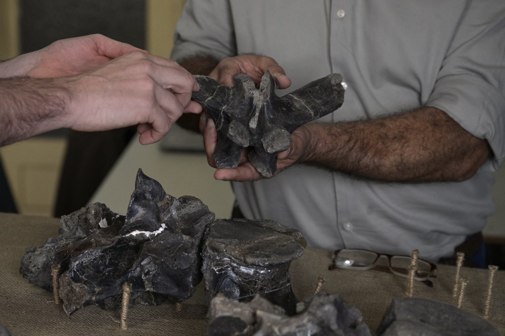 Man holding part of the dinosaur fossil.