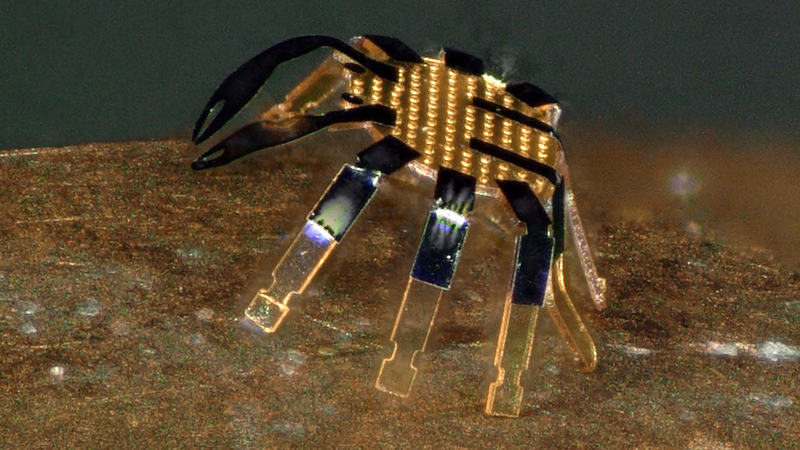 Bu 'Yengeç' Şimdiye Kadar Yapılmış En Küçük Uzaktan Kumandalı Yürüyen Robottur
