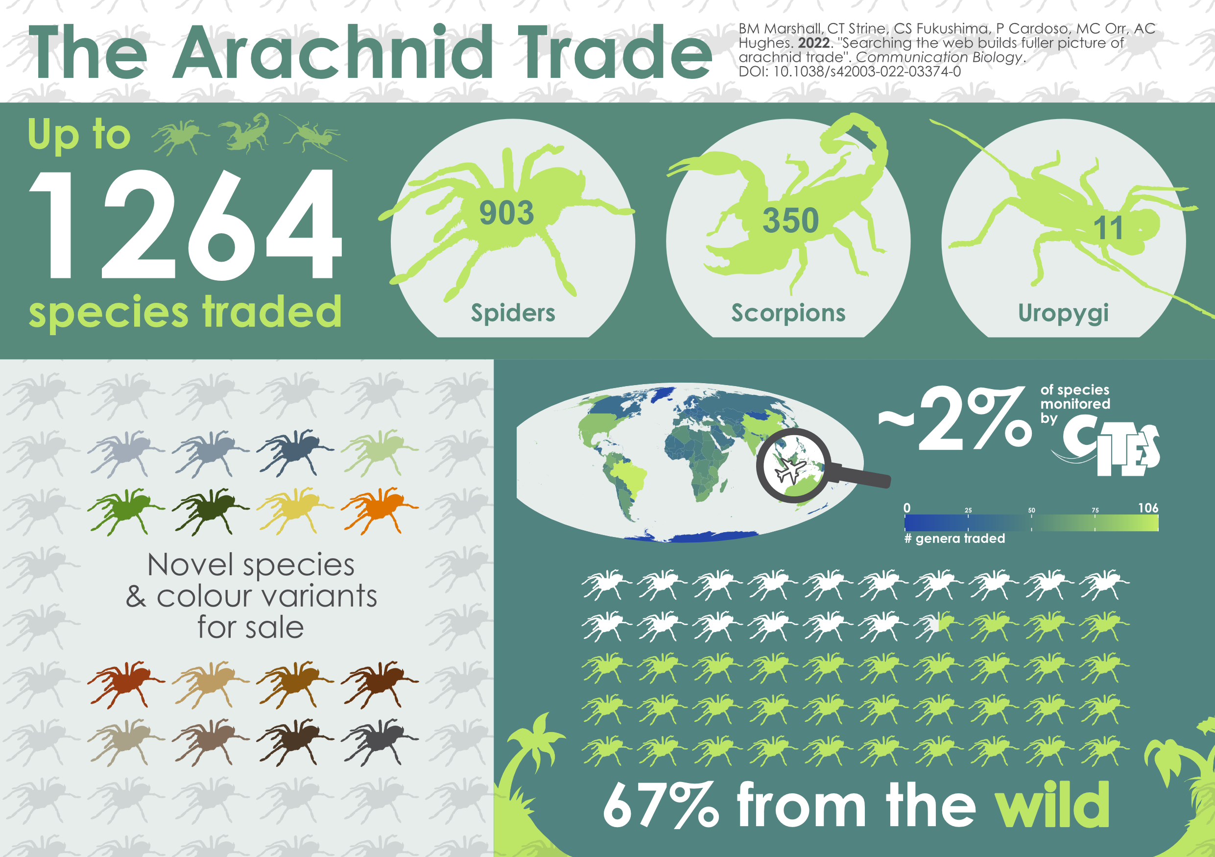 Infographic of the studies results.