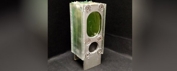 Scientists have powered a basic computer with just algae for over 6 months