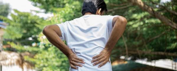 The link between inflammation and chronic back pain may not be what we thought