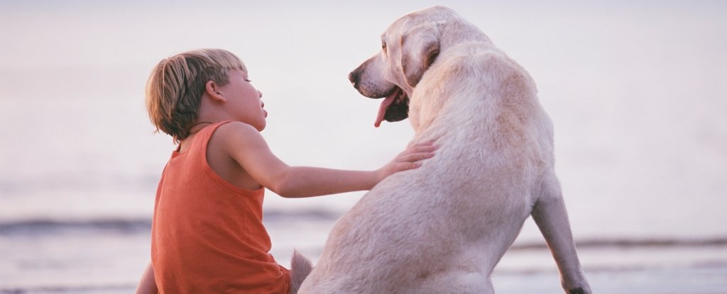 Severe Hepatitis Spike in Children 'Linked' to Dogs, But Here Are The Facts