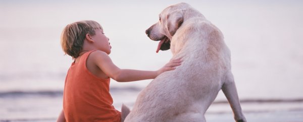 Severe hepatitis spike in children 'linked' to dogs, but here are the facts