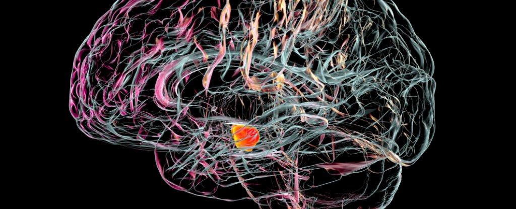Los científicos han identificado las células cerebrales que mueren en la enfermedad de Parkinson