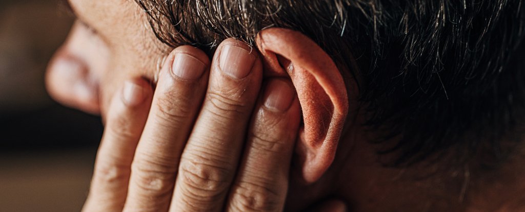 Tinnitus Seems to Be Somehow Linked to a Crucial Bodily Function, Studies Hint - ScienceAlert